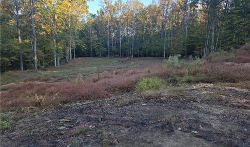 Photo #1 of 155 Cotton, Mocksville, NC 10.6 acres