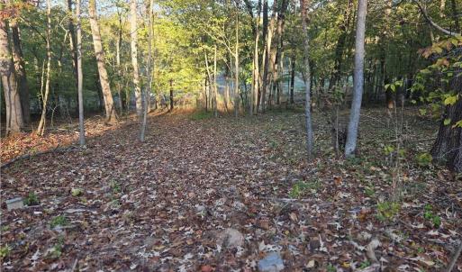 Photo #4 of 155 Cotton, Mocksville, NC 10.6 acres