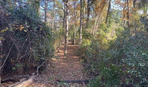 Photo #3 of 158 Dogwood Trail, Southern Shores, NC 0.5 acres