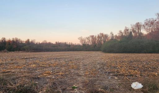 Photo #1 of SOLD property in TBD North Lake Road, Engelhard, NC