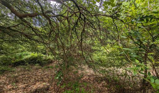 Photo #10 of 2362 Sandpiper Road, Corolla, NC 0.3 acres