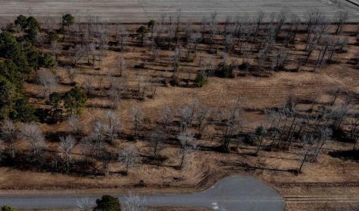Photo #12 of TBD Windchaser Way, Moyock, NC 11.3 acres