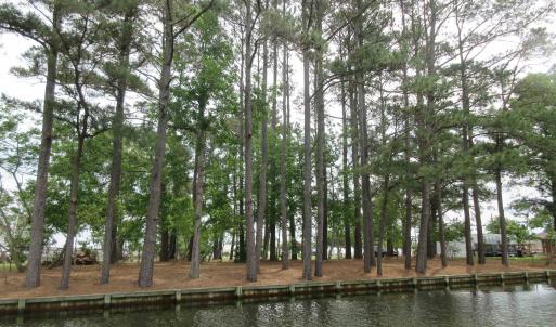 Photo #3 of 105 Mallard Court, Grandy, NC 0.5 acres