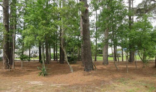 Photo #16 of 105 Mallard Court, Grandy, NC 0.5 acres