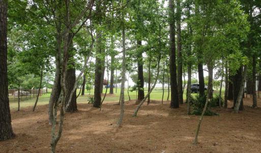 Photo #19 of 105 Mallard Court, Grandy, NC 0.5 acres
