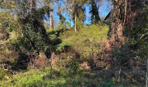 Large Lot in an 'X' flood zone!