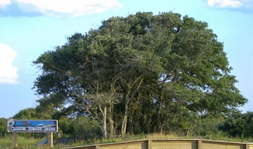 Photo #9 of 2091 Sandpiper Road, Corolla, NC 0.3 acres