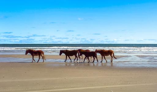 Photo #13 of 2091 Sandpiper Road, Corolla, NC 0.3 acres