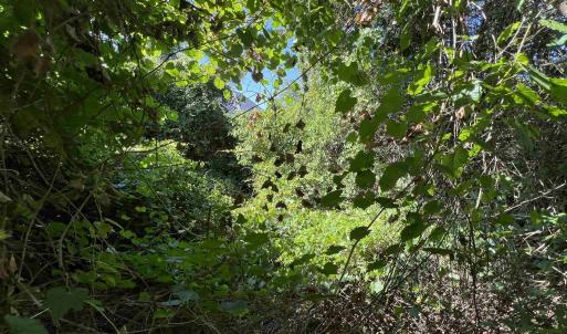 Photo #4 of 443 Kitty Hawk Bay Drive, Kill Devil Hills, NC 0.2 acres