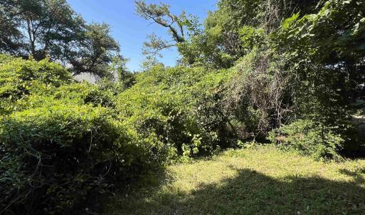 Photo #5 of 443 Kitty Hawk Bay Drive, Kill Devil Hills, NC 0.2 acres