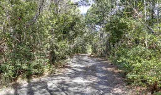 Photo #5 of NC 12 Highway, Frisco, NC 7.6 acres