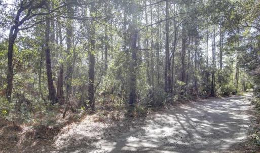 Photo #7 of NC 12 Highway, Frisco, NC 7.6 acres