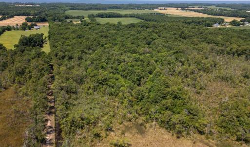 Photo #5 of Jarvisburg Road, Jarvisburg, NC 42.0 acres