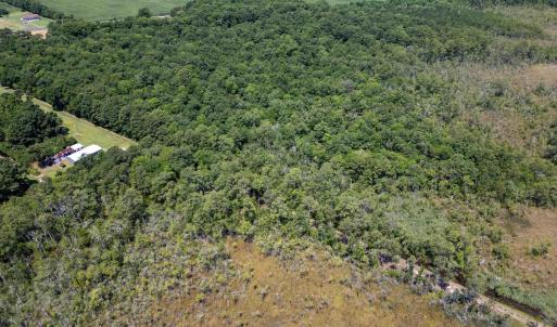 Photo #6 of Jarvisburg Road, Jarvisburg, NC 42.0 acres