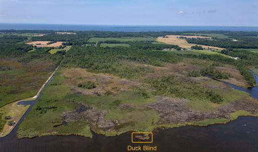 Photo #2 of Jarvisburg Road, Jarvisburg, NC 42.0 acres