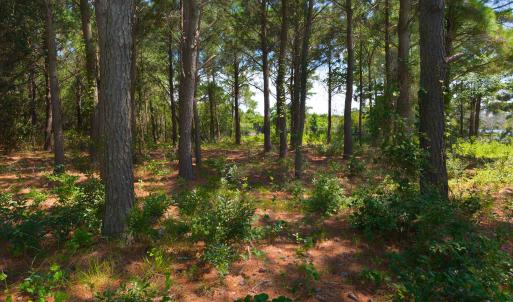 Photo #11 of 918 Plover Court, Corolla, NC