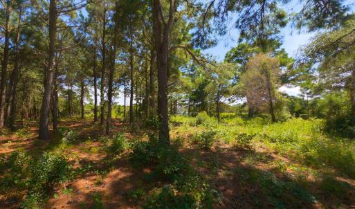 Photo #10 of 918 Plover Court, Corolla, NC