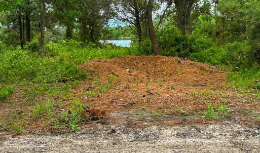 Photo #5 of 918 Plover Court, Corolla, NC