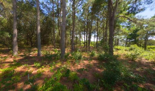 Photo #9 of 918 Plover Court, Corolla, NC