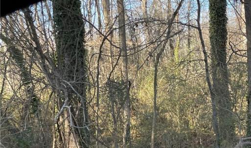 Photo #5 of 3605 Ten, Efland, NC 9.1 acres