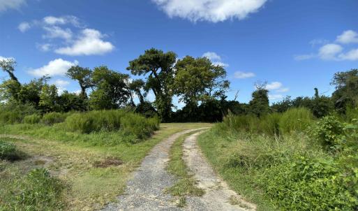 Photo #10 of Brumley Road, Knotts Island, NC 12.0 acres