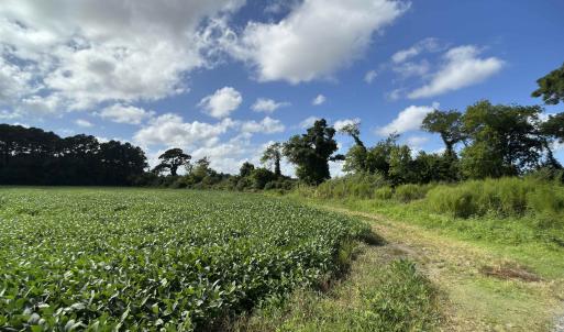 Photo #9 of Brumley Road, Knotts Island, NC 12.0 acres