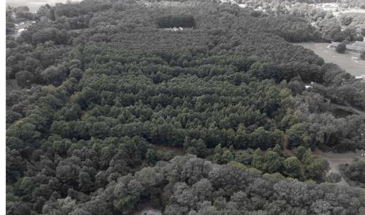 Photo #11 of Brumley Road, Knotts Island, NC 12.0 acres