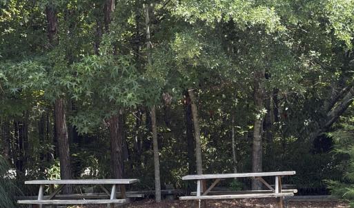 Photo #11 of 113 Old Holly Lane, Kill Devil Hills, NC 0.4 acres
