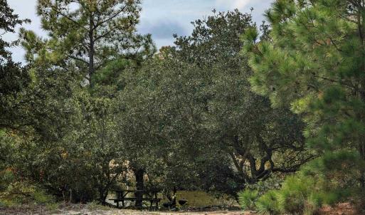 Photo #12 of 2234 Sailfish Road, Corolla, NC