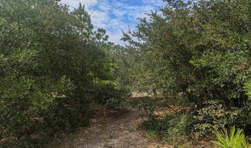 Photo #11 of 2234 Sailfish Road, Corolla, NC
