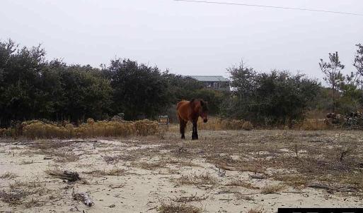 Photo #4 of 2126 Sandpiper Road, Corolla, NC 0.4 acres