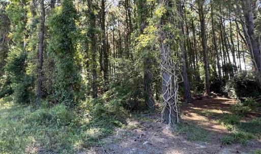 Photo #3 of Lots 1,2&3 Caratoke Highway, Grandy, NC