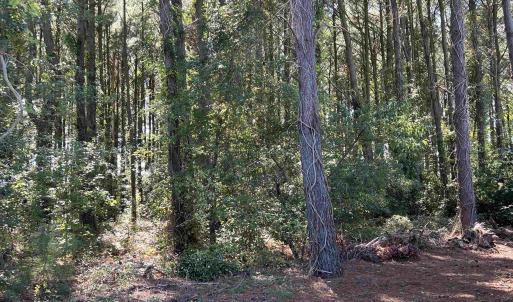 Photo #1 of Lots 1,2&3 Caratoke Highway, Grandy, NC