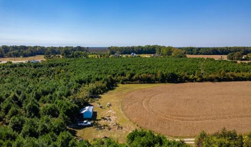 Photo #4 of Caratoke Highway, Poplar Branch, NC