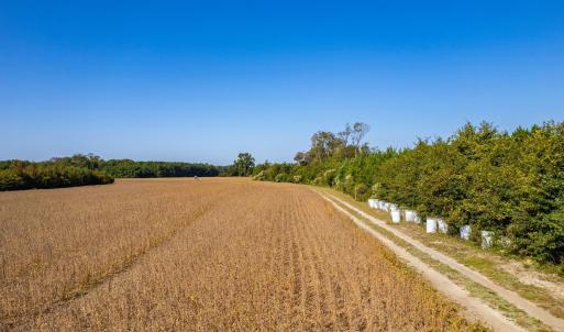 Photo #5 of Caratoke Highway, Poplar Branch, NC