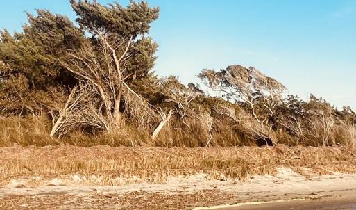 Photo #5 of 23036 Cross of Honor Way, Rodanthe, NC