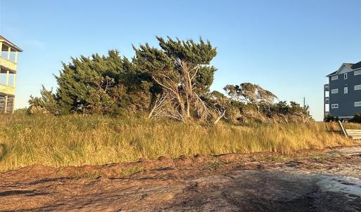 View from back of lot