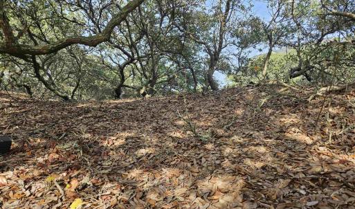 Photo #10 of 510 Albatross Lane, Corolla, NC 0.3 acres