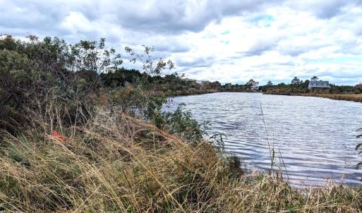 View of the pond across the lane.