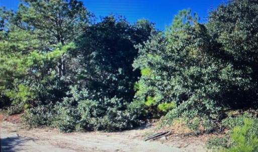 Area Photo