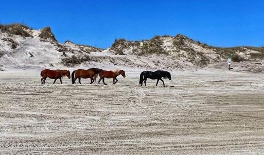 Photo #7 of 2011 Ocean Pearl Road, Corolla, NC 0.3 acres