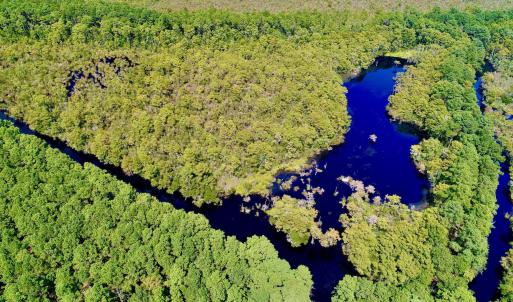 Photo #6 of West Side Lane, Powells Point, NC 225.7 acres