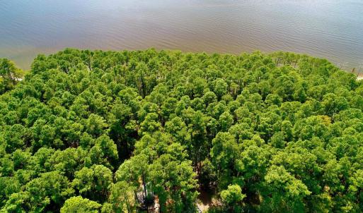 Photo #32 of West Side Lane, Powells Point, NC 225.7 acres