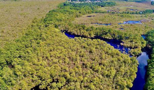 Photo #11 of West Side Lane, Powells Point, NC 225.7 acres