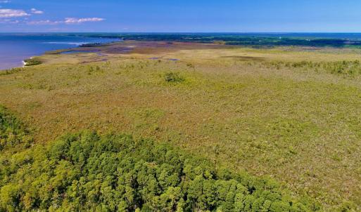 Photo #12 of West Side Lane, Powells Point, NC 225.7 acres