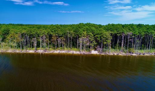 Photo #16 of West Side Lane, Powells Point, NC 225.7 acres