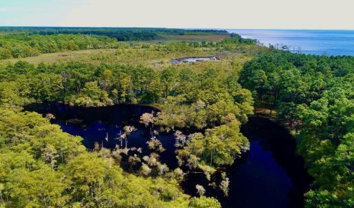 Photo #26 of West Side Lane, Powells Point, NC 225.7 acres