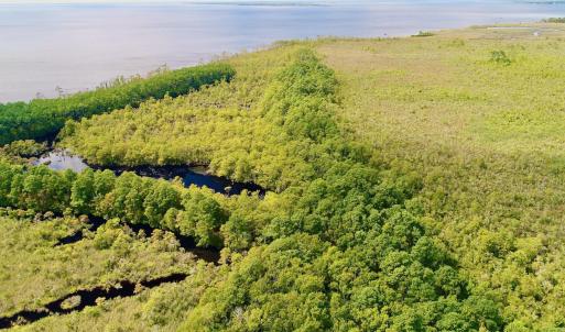 Photo #29 of West Side Lane, Powells Point, NC 225.7 acres