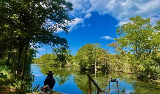 Photo #37 of West Side Lane, Powells Point, NC 225.7 acres