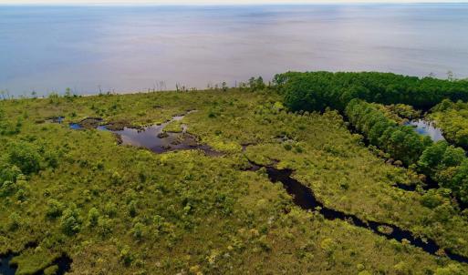 Photo #28 of West Side Lane, Powells Point, NC 225.7 acres